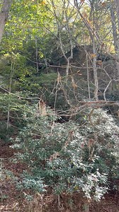 1.5K views · 4 comments | Twin Rivers Family Campground on Reels | Facebook