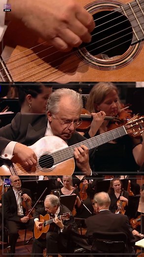 Rodrigo Guitar Concerto - A Unique Story Behind the Peaceful Melodies