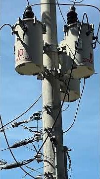 22.9kV-230V, 한전 변압기 구조 설명 #22.9kV #전봇대 #한전 #변압기