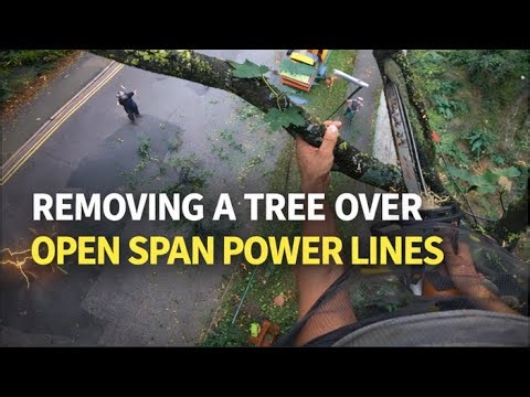 Tree Removal Over Open Span Power Lines