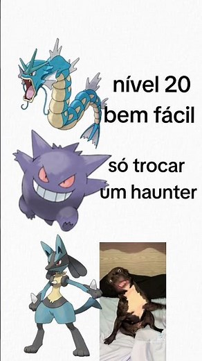 Lucario é um cachorro feliz (e só maximizar a sua felicidade) #pokemon #memes