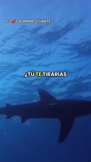 3 Misterios del OCÉANO que nadie explica 🌊 #rank ​#Oceano #Misterio #top3 #Terror