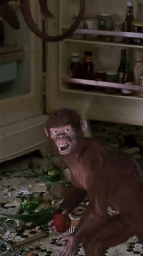 Monkeys Attack the Kitchen | Jumanji (1995)