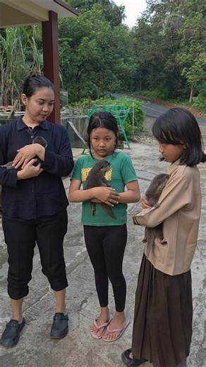 3 Bersodara ll 3 Brothers #siboni #sibona #otter #animals