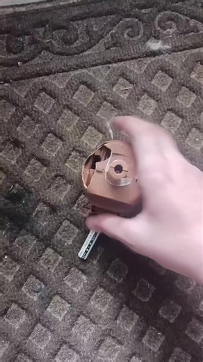 destroying this crappy cactus toy