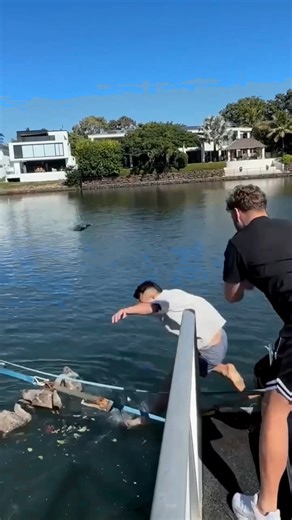 A Little Push #prank #viralreels #viralvideoシ #trendingreels #funnymoments #funny #fblifestyle | Pranks Diary