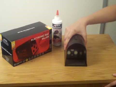 Using an electronic rat killer
