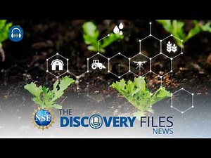 🎧 Biotechnologies are Transforming Crop Production #news #science #agriculture