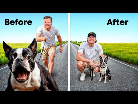 This One Thing ENDED Her Leash Aggression (How To STOP Leash Reactivity Fast)