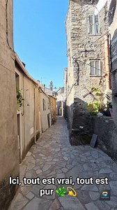 Tu crois connaître la Corse ? Attends de voir Venzolasca 😍⛰️ #village #corse #rue | Corse Vision