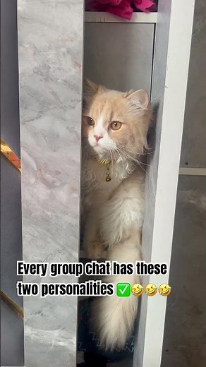 Introverts vs Extroverts in one video 🤣🤣🤣 #funny #memes #best #trending