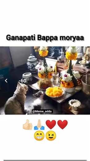 Ganpati Bappa ❌helper ✅#aestheic​ #shortvideos​ #tweetreels​ #viralvideos​ #popular​ #sadquotes​.