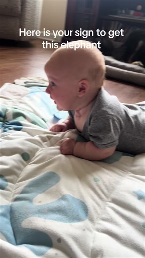 Here is your sign to get this elephant #baby #babyboy #tummytime #3monthsold #elephants #pickapoo