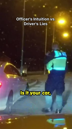 When the driver swears they haven't touched a drop, but the officer's gut is screaming otherwise! 🚨 The commitment to 'better safe than sorry' on the side of the road is intense. That moment right before the breath test is pure suspense. Does intuition ever fail these officers? You gotta see this raw exchange! 👀 #PoliceInteractions #TrafficStop #Intuition #SobrietyTest #Suspicion