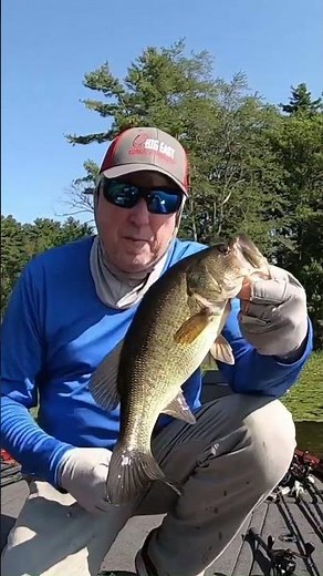 I love summertime patterns! #bassfishing #benstackleshack #lewsfishing #skeeterboats ￼