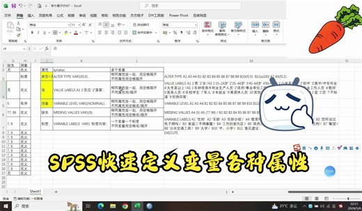 SPSS运用语法定义多个变量的基本属性（类型+宽度+小数位数+值+测量+缺失+标签）