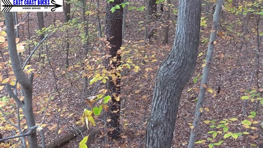 103K views · 471 reactions | If most folks had any idea how hard it...