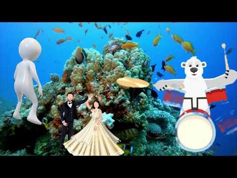 Halo Fish A silly Ocean wish #Funny poem#wish