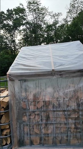 Cheap IBC Tote Firewood Solar Kiln Prototype