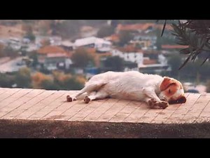 剪辑的艺术 Watchtower of Turkey 土耳其瞭望塔 超清