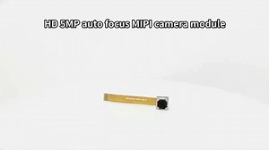 OV5640 5MP 2K Camera Module for ESP32-CAM 24 Pin Fixed Focus 65 Degree 50MM Length FPC DVP Interface for Laptop Video