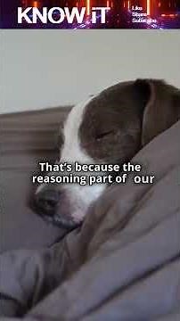 Why Do People Talk in Their Sleep? 🛌🗣️ Nighttime Brain Chatter Explained!