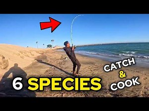 Epic SoCal Surf Fishing with Sand Crabs - Nonstop Action!