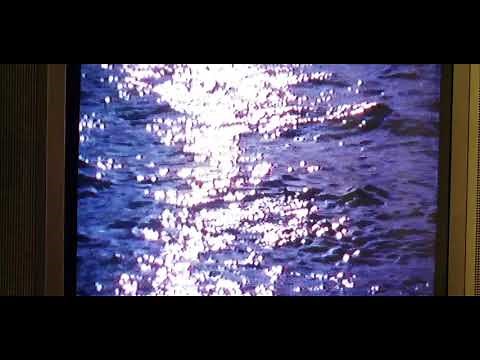 Closing to Free Willy 1993 VHS