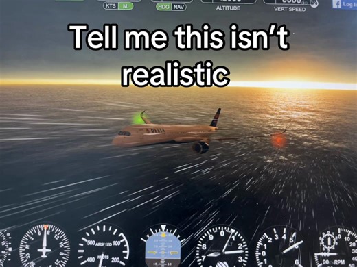 Exploring Realistic Flight Simulations in GeoFS
