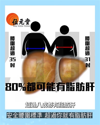 【早D知早D醫】 安全腰圍標準 超過你就有脂肪肝😱 《早D知早D醫》第4集 乙型肝炎有機會引致肝癌，不容忽視。肝癌康復者親訴抗癌經歷；專科醫生細說相關資訊，並介紹局部熱力射頻消融術的治療方案。肝病的早期徵狀不明顯，定期檢測才能夠早知早醫，醫生詳析釋檢查方法。透過磁力共振配顯影劑，可有效確診肝癌，詳情如何？縱然發現時肝癌已屬晚期，醫生亦有可康復病例。如有中央肥胖情況，會較易出現可引發嚴重肝病的脂肪肝，何謂安全的腰圍標準？此外，運動學者雷雄德指導主持「超慢跑」，有助消脂保健。 👉🏻想了解TVB 綜藝節目《早D知早D醫》的更多資訊👈🏻 ❤️❤️即刻去TVB綜藝 專頁各平台❤️❤️ ❤️❤️(Facebook、Instagram及Youtube)！！❤️❤️ 🔎搜尋 @TVB綜藝 @早D知早D醫 #早D知早D醫 #乙型肝炎 #肝癌 #消脂 #健康情報 #醫學知識 #洪永城 #宋宛穎 #何沛珈 #魏韵芝 #治療 #TVB綜藝 早D知早D醫｜星期一至三 晚上 10:30｜翡翠台 💜記得like/follow晒我哋TVB 綜藝！！💜 | TVB 綜藝