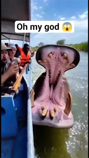 Inside the Monster’s Mouth 😱 | Nature’s Most Terrifying Teeth Revealed