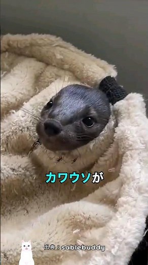 The true identity of this creature that is a mix of various animals