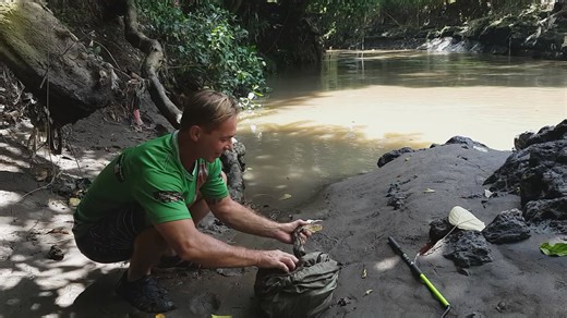 The most aggressive large snake encounters filmed during wildlife rescue operations