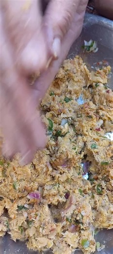 Delicious Shami Kabab Recipe You Must Try