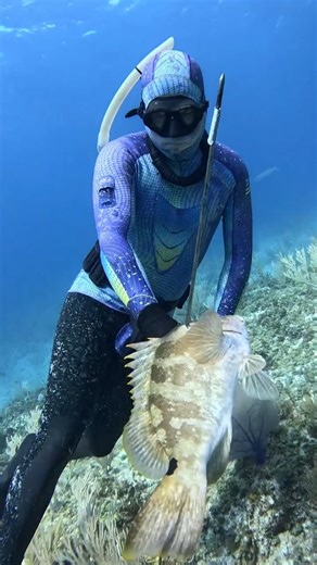 Fishing Diver on Instagram: "Underwater Archery Spearfishing #fishing #spearfishing #foryou #freediving #spearfisherman #fish #viral #Trending #tiktok #instagood #follow"