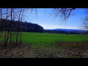 Waldgeräusche & Vogelgezwitscher zur Entspannung: Vögel singen im Frühling (Wald, Naturgeräusche)