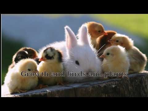 7 Spring Haiku (Poems for the classroom.)