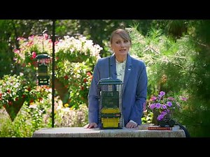 Squirrel Buster Suet - Assembly