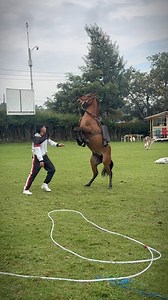 3.2M views · 100K reactions | Don Juan me dice que es calmado | Piolo Stunt | Facebook