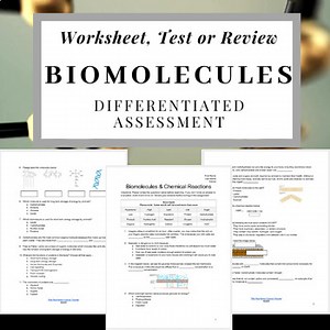 Biomolecules, Proteins and Chemical Reactions: Assessment or Worksheet