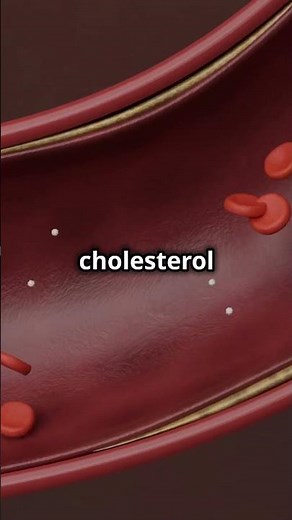UNDERSTANDING CHOLESTEROL HDL vs LDL-3D ANIMATION #shorts