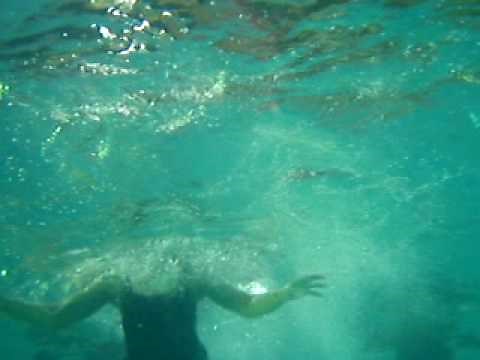 Pencil Dive