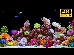 🐠 12 Hours of Cozy Aquarium 4K | Natural Water Sounds & Coral Beauty