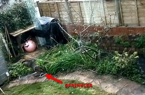 Pi-Powered Anti-Cat Trap Soaks Felines And Other Animals