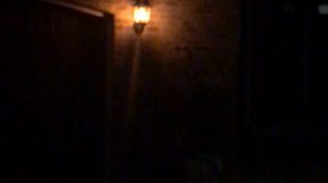 Watch Flame Light Bulbs, FIMITECH LED Flame Effect Fire Light Bulbs, 4 Modes, E26 Standard Base, 108pcs... on Amazon Live