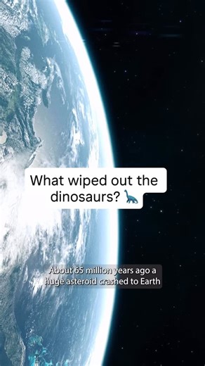 Big History on Instagram: "One asteroid changed everything 🪨 Big History shows how the dinosaur extinction reshaped life on Earth - and why mammals were able to thrive afterwards. A course that helps children understand how sudden change can alter the course of history. 👉 Discover Big History on our website."