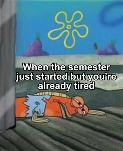 @_stephwrites on Instagram: "HMU if you need help with Spring classes and assignments. I guarantee quality work and good grades #springsemester #relatable #collegehumor #explorepage #foryou"