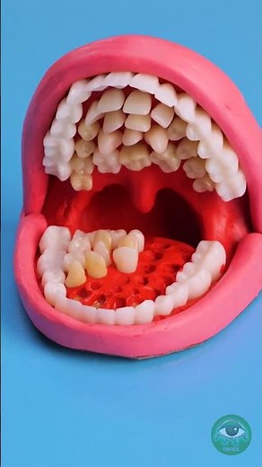 Unbelievable Grins: The Strangest Teeth on Earth! 😲🦷