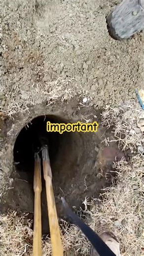 DIGGING FOOTINGS #deck #carpentrytips #diy