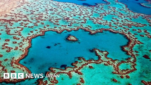 豪グレートバリアリーフ、サンゴが22年間で半減　気候変動の影響＝研究 - BBCニュース